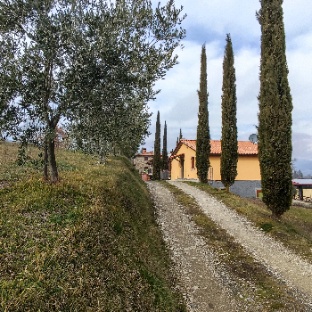 Agriturismo La Casina Caprese Michelangelo Arezzo Alloggio per